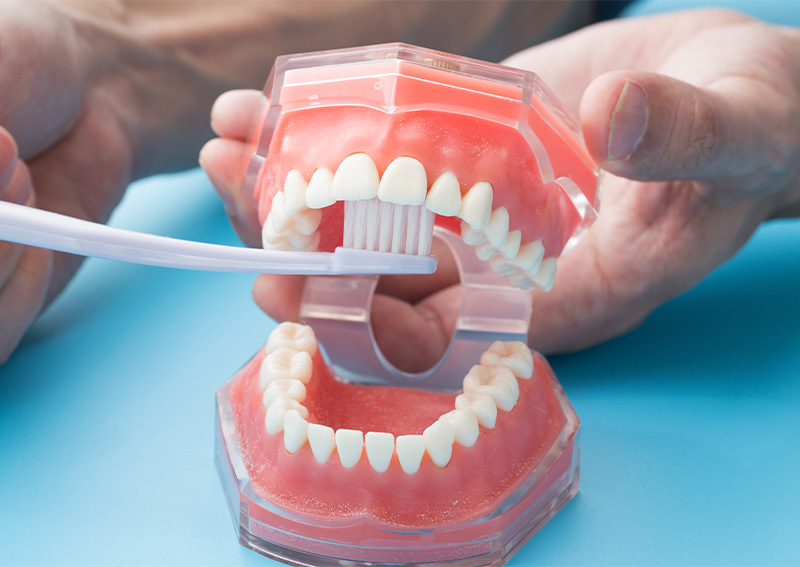 効果的な歯磨きの方法を具体的にお伝えしています